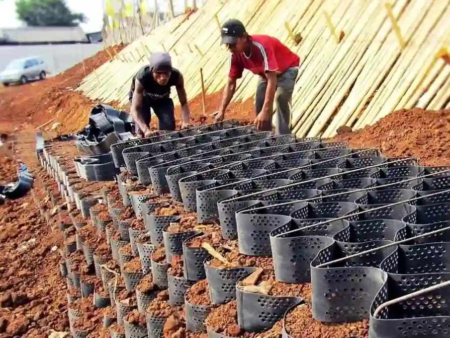 Ensaio MASW e Perfil VS30 em Santos: Velocidade de Ondas Cisalhantes